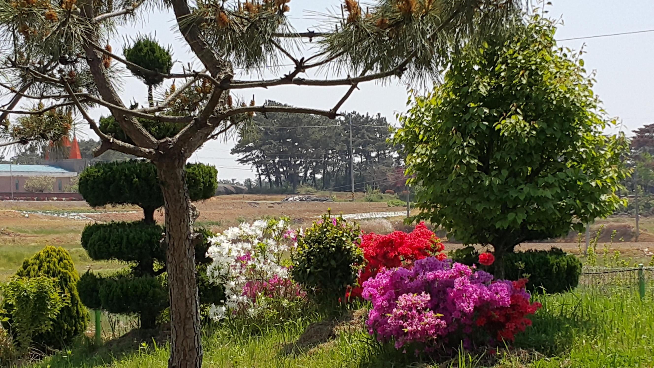 군산함께하는요양원 이미지 7