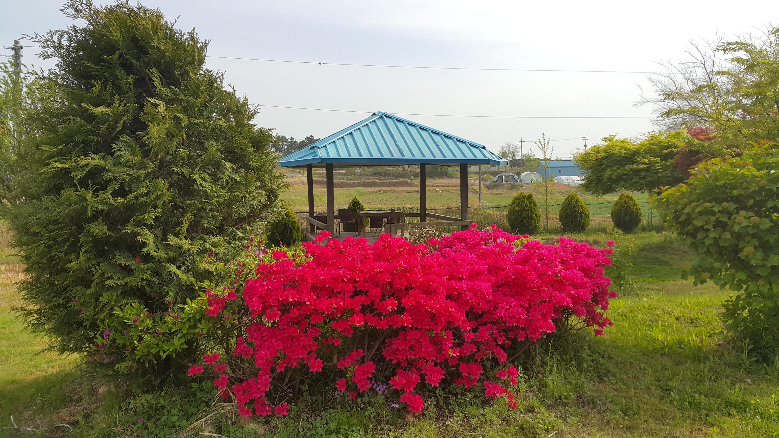 군산함께하는요양원 이미지 8