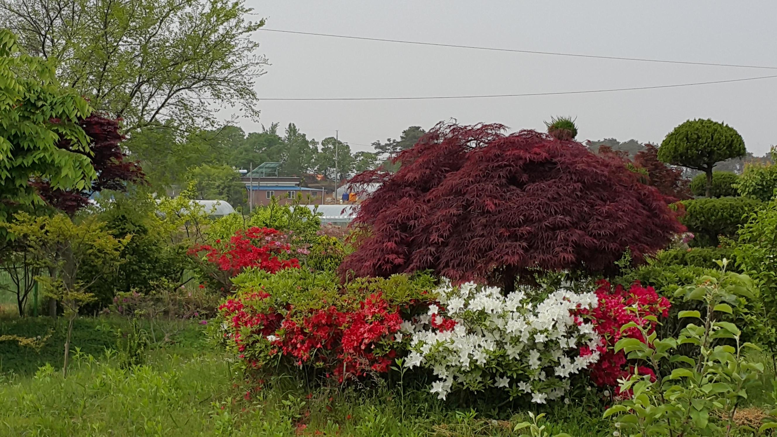 군산함께하는요양원 이미지 9