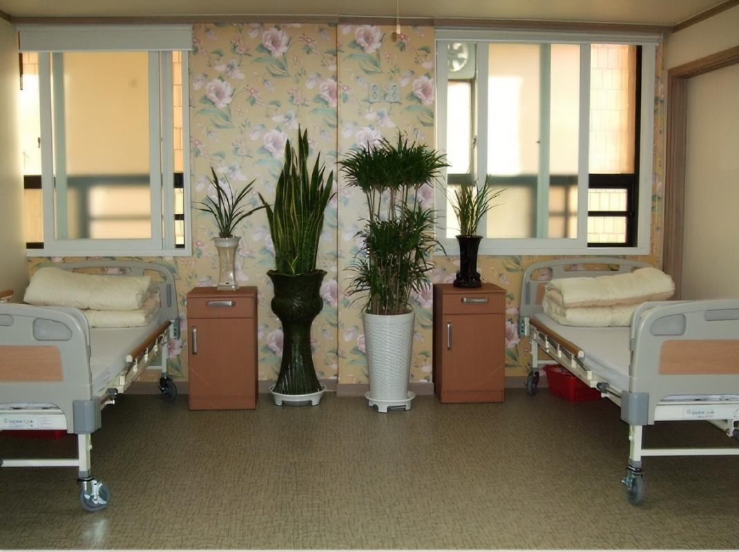 강북실버요양원 이미지 5