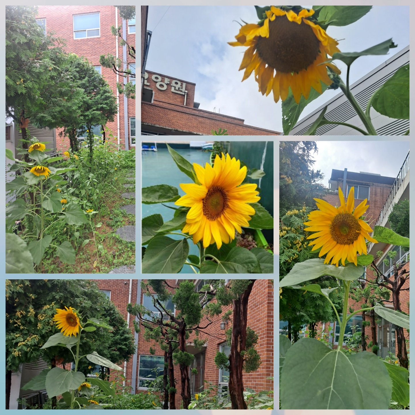 광주이삭요양원 이미지 26