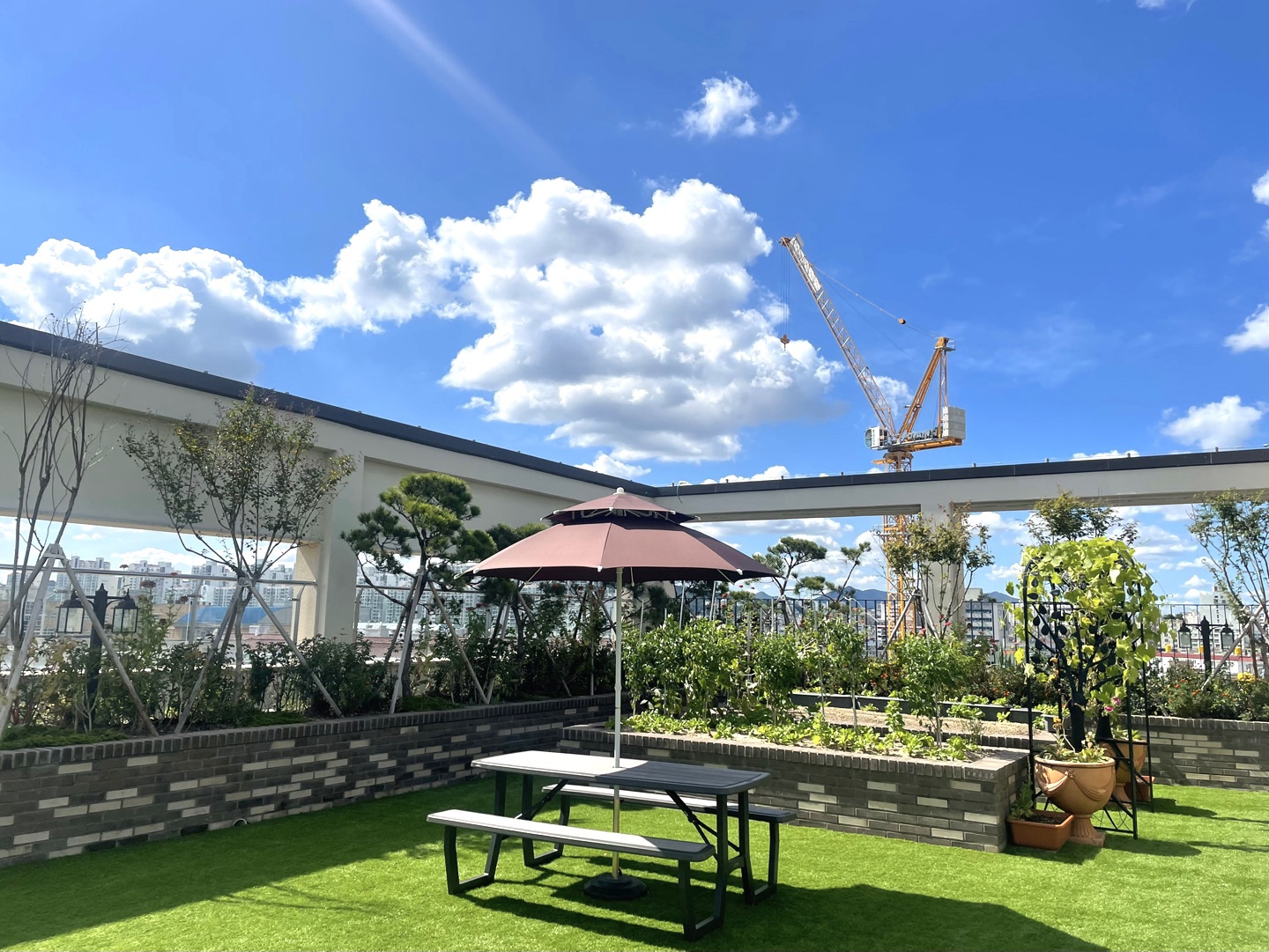 골든메디컬케어 이미지 4