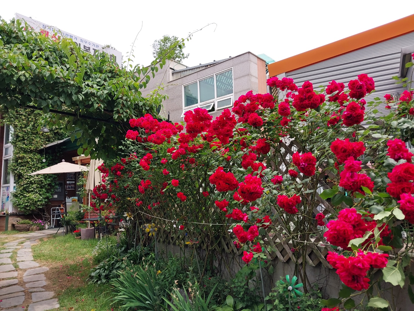 e-햇살복지센터 이미지 2