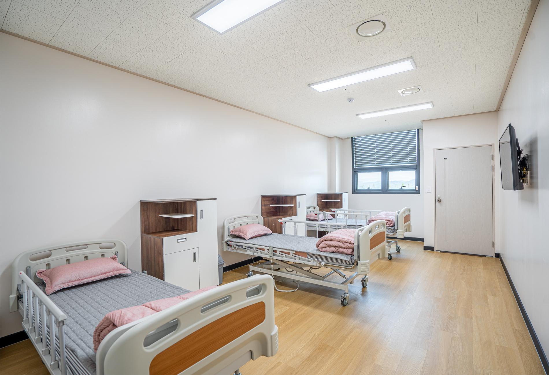 골든포레스트 이미지 3