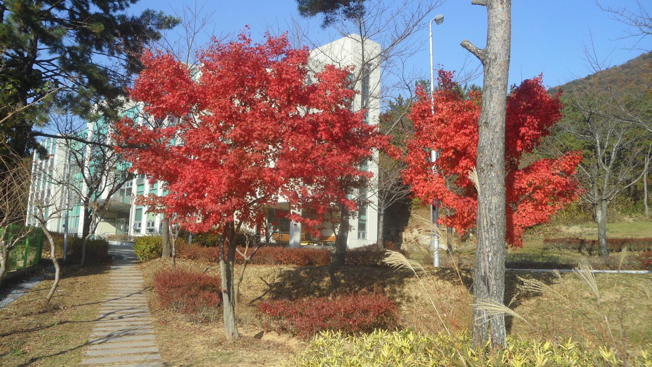 가야대학교 가야노인전문요양원 이미지 8