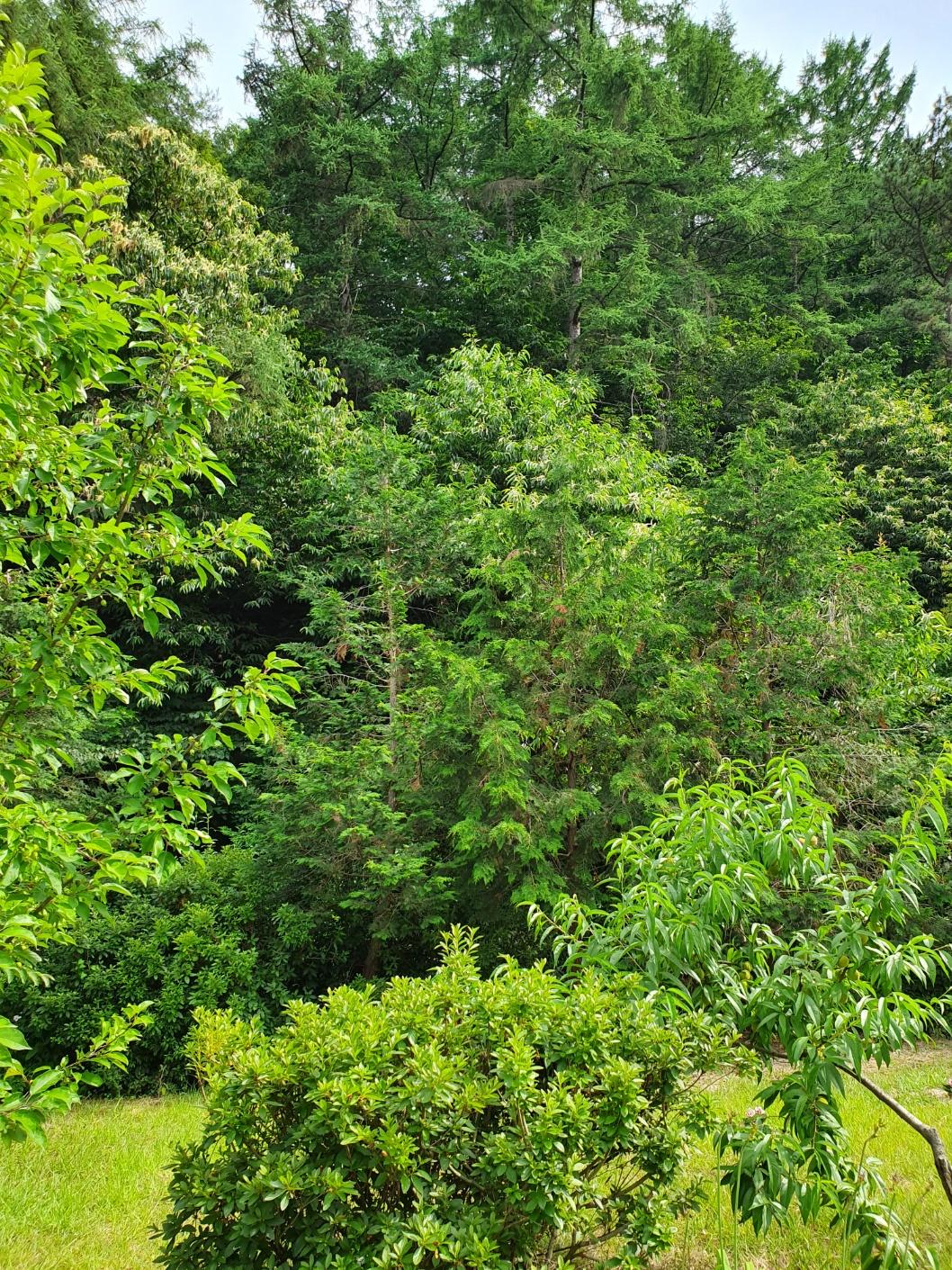 공주엘림요양원 이미지 12