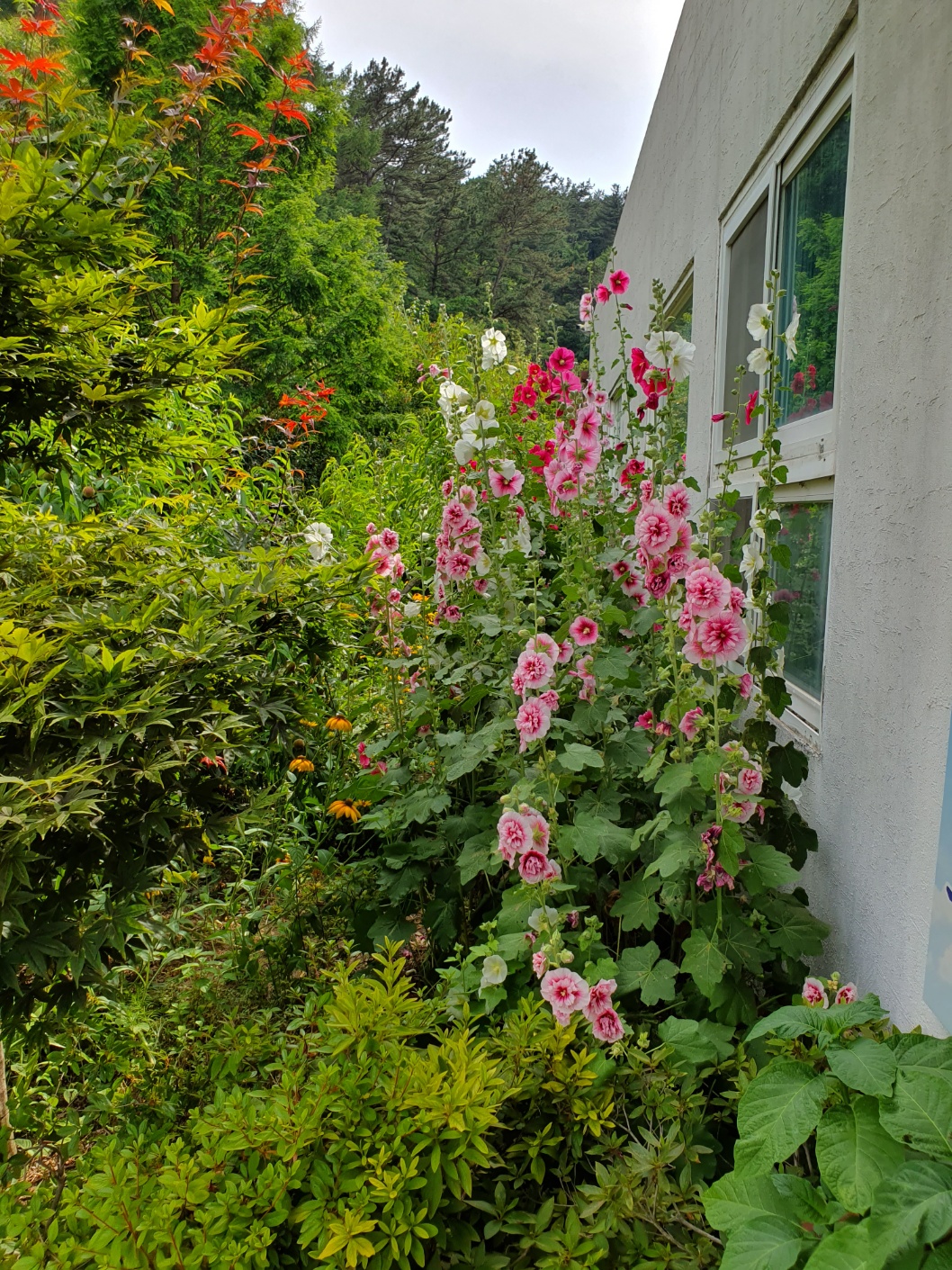 공주엘림요양원 이미지 13