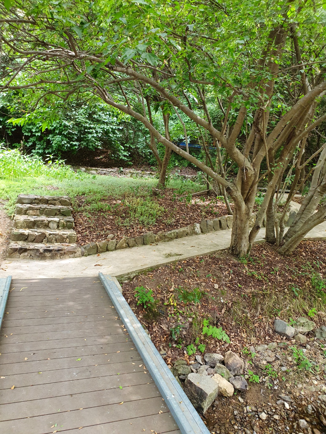 공주엘림요양원 이미지 15