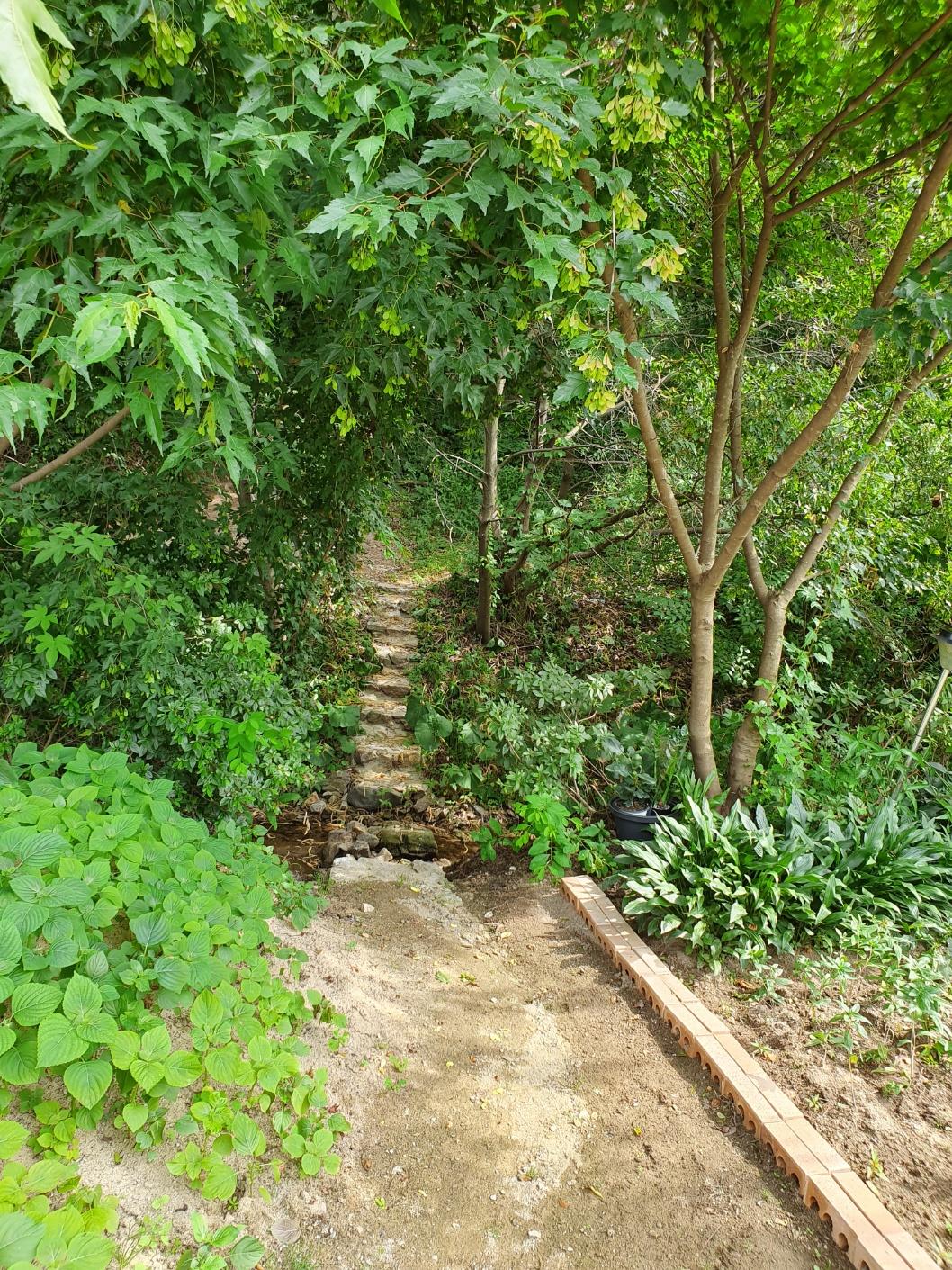 공주엘림요양원 이미지 19