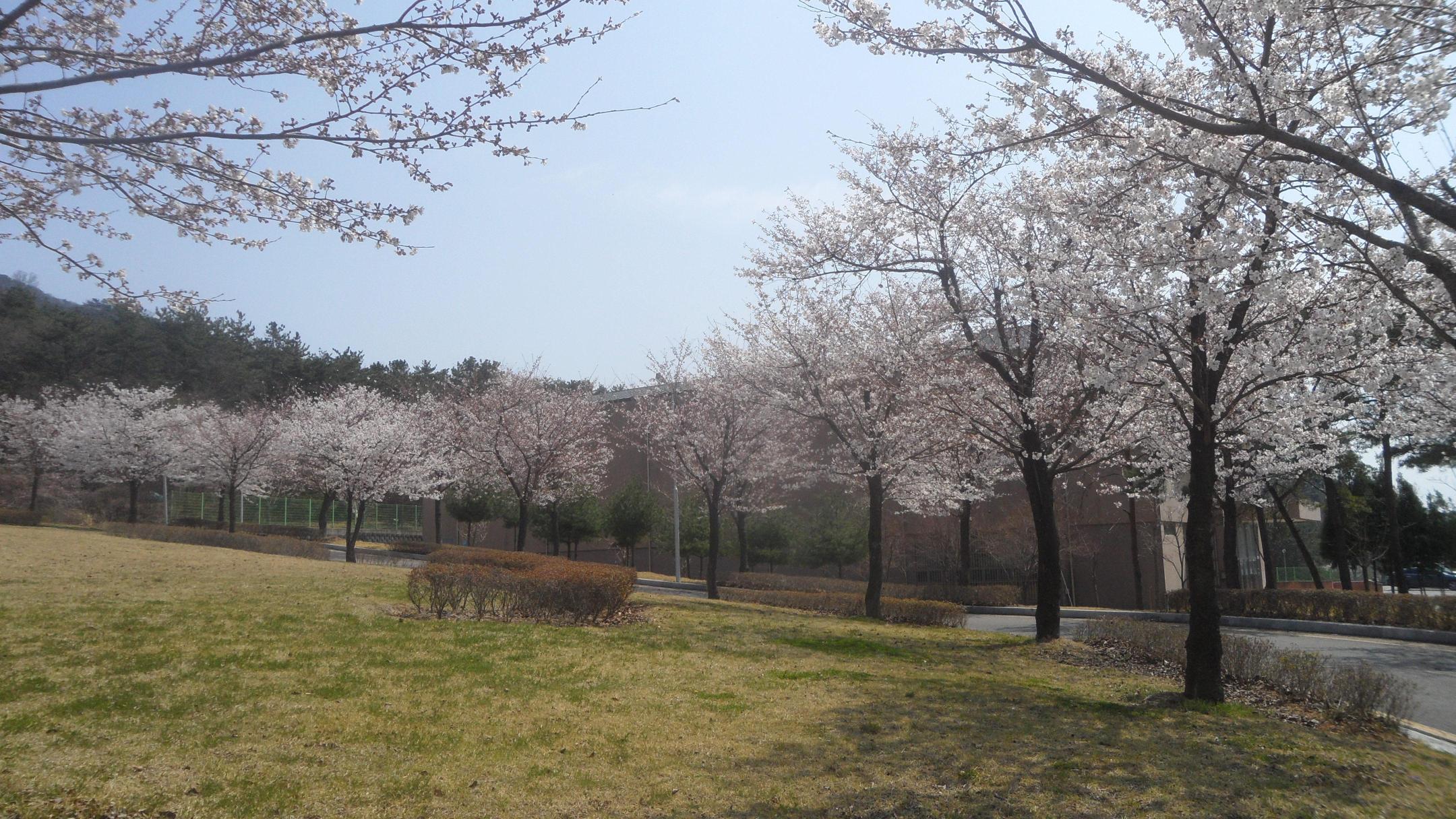 가야대학교 가야노인전문요양원 이미지 2