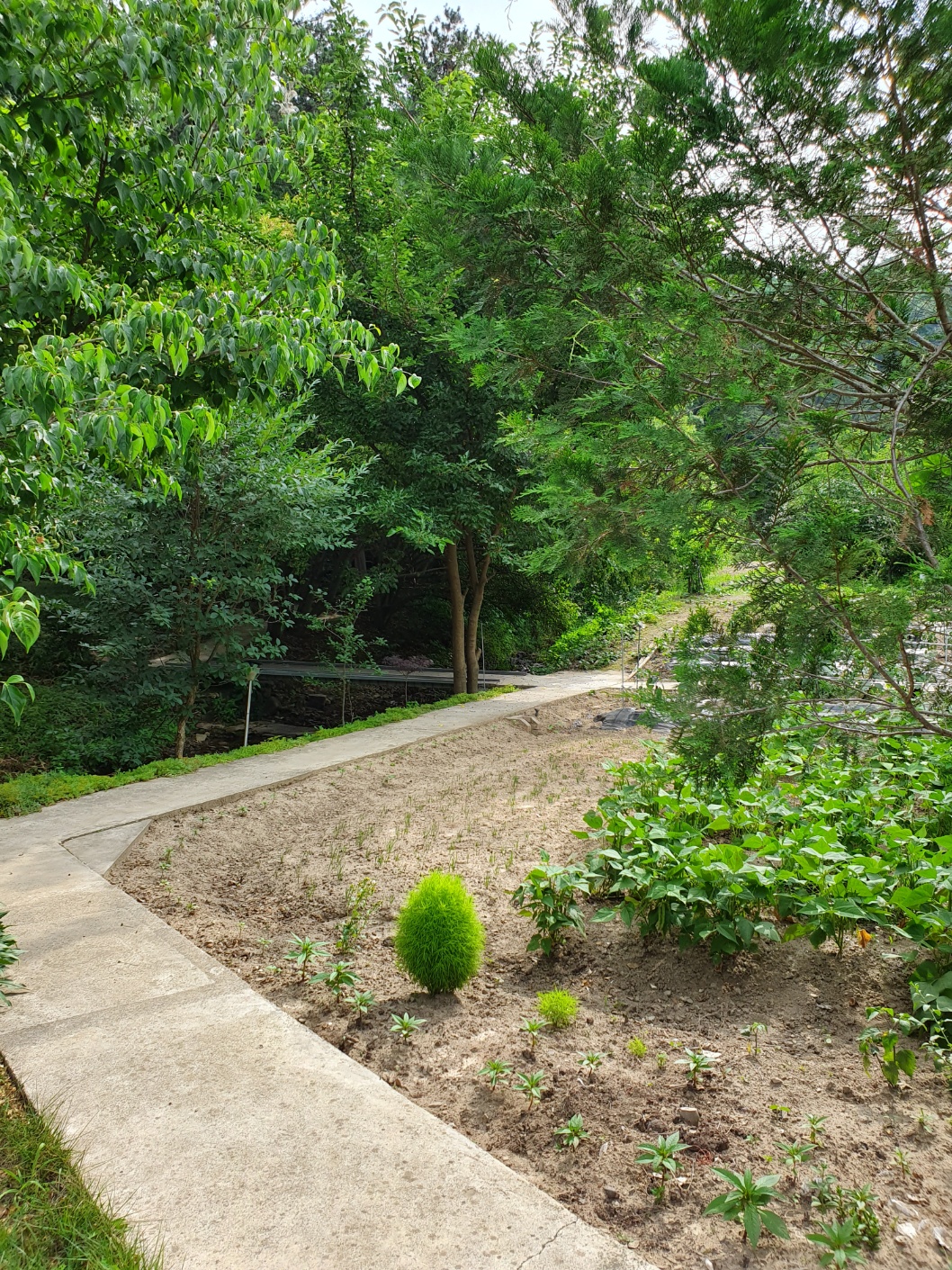 공주엘림요양원 이미지 3