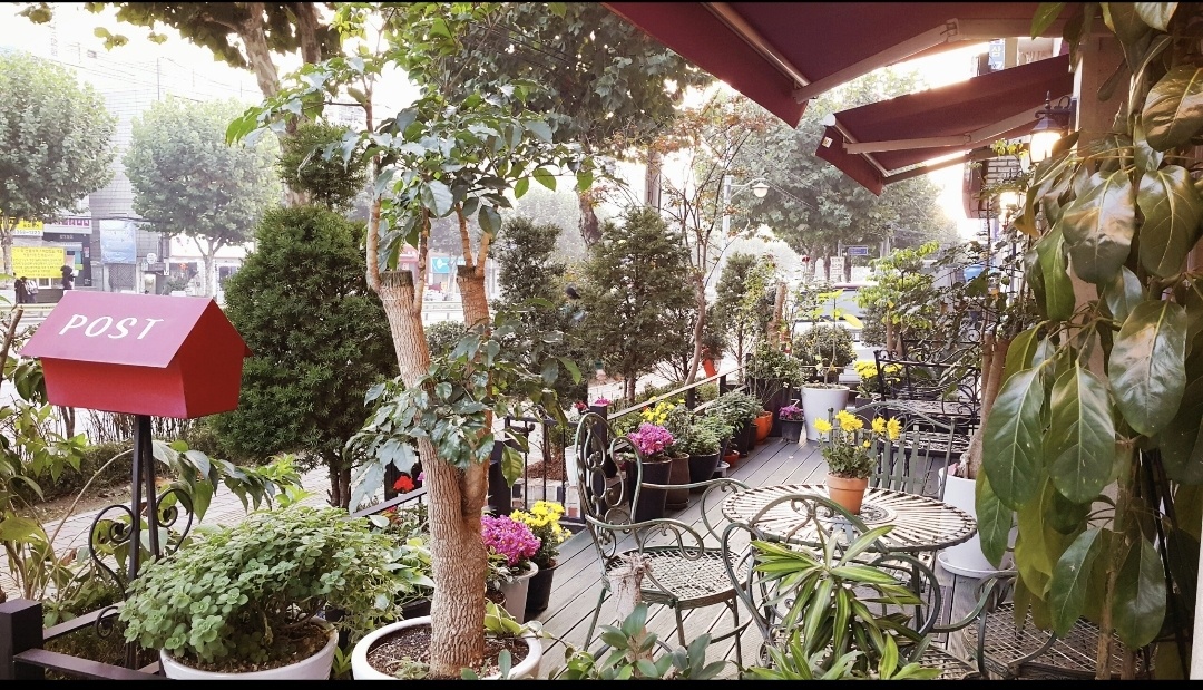 강남한보리전문요양원 이미지 4