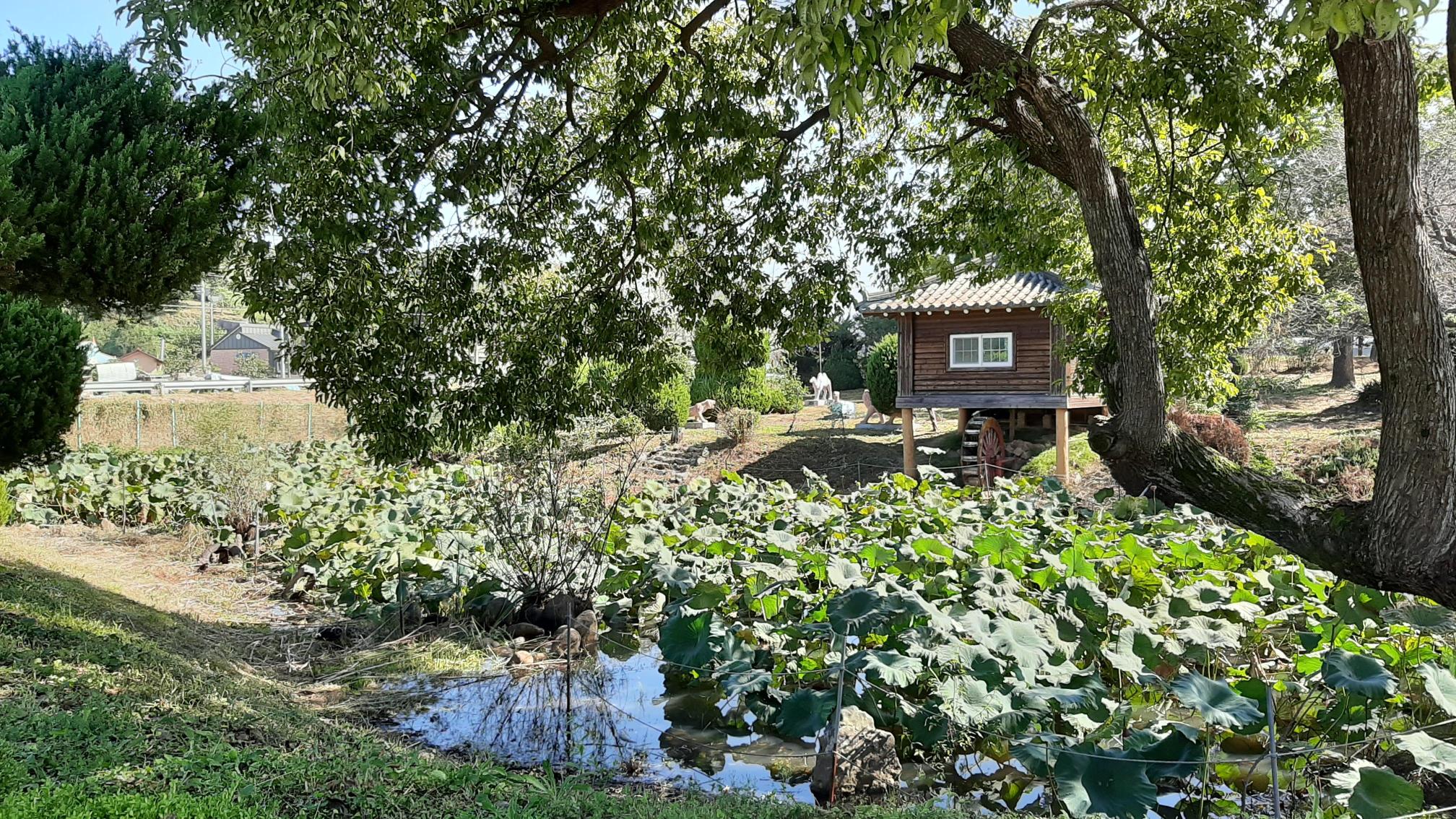 가림요양원 이미지 5