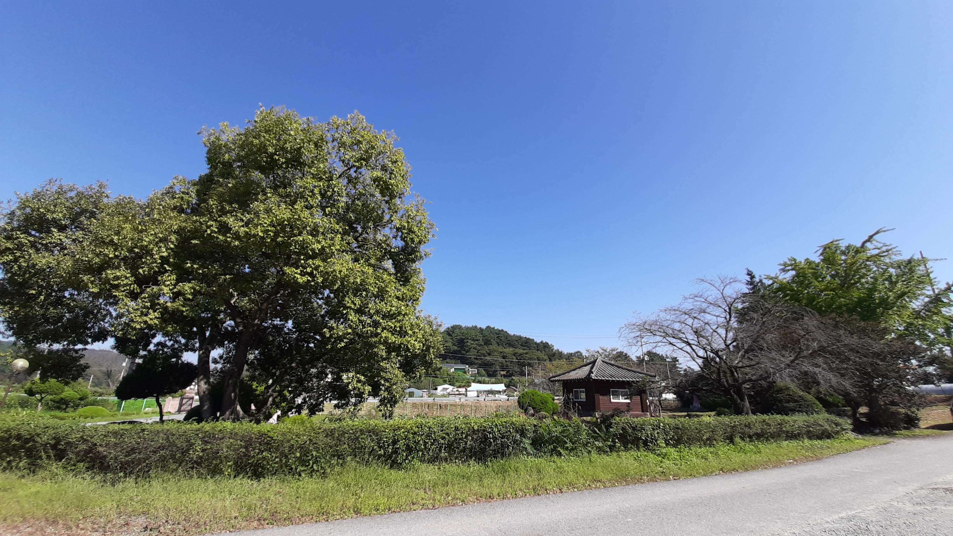 가림요양원 이미지 6