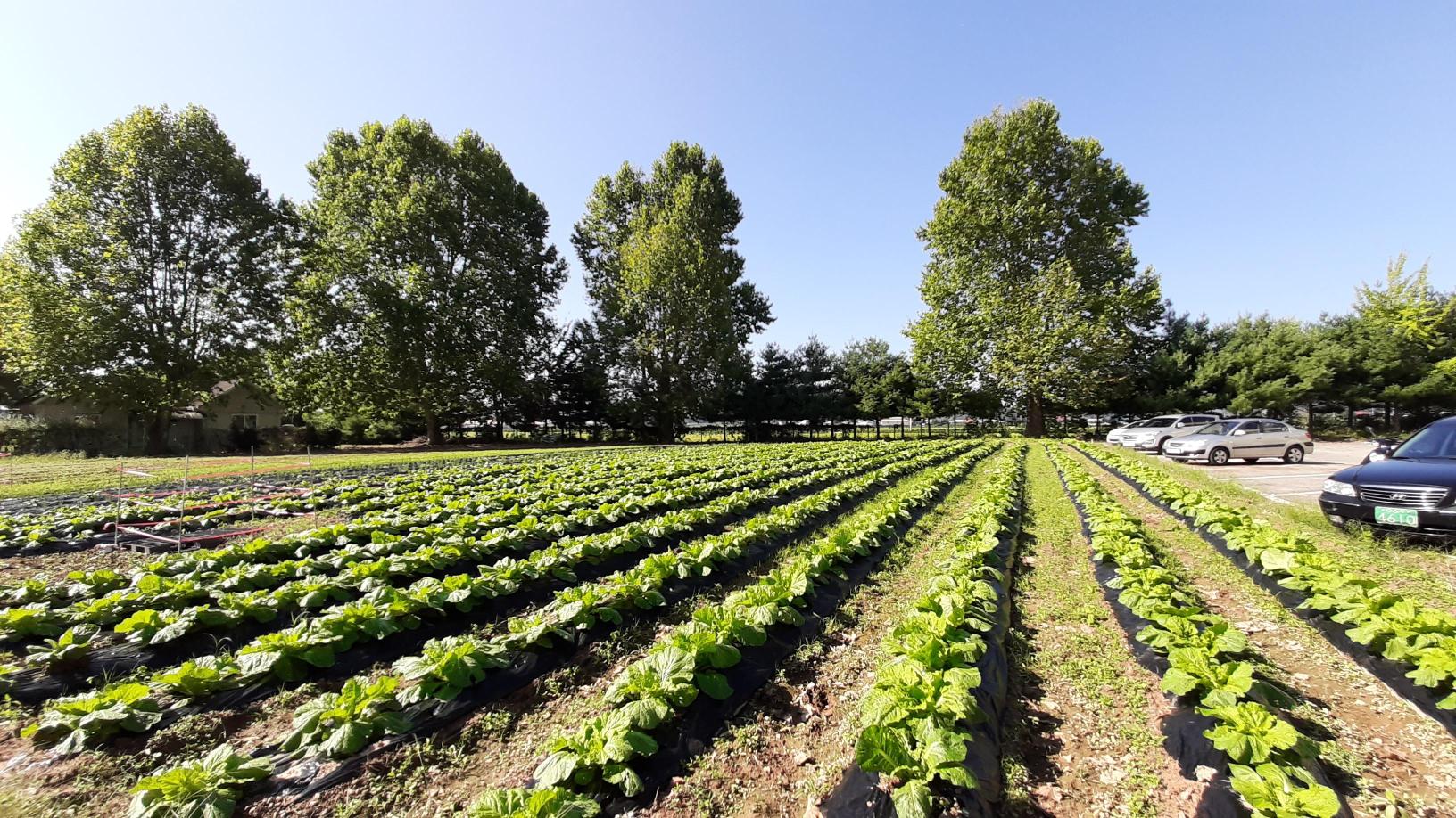 가림요양원 이미지 7