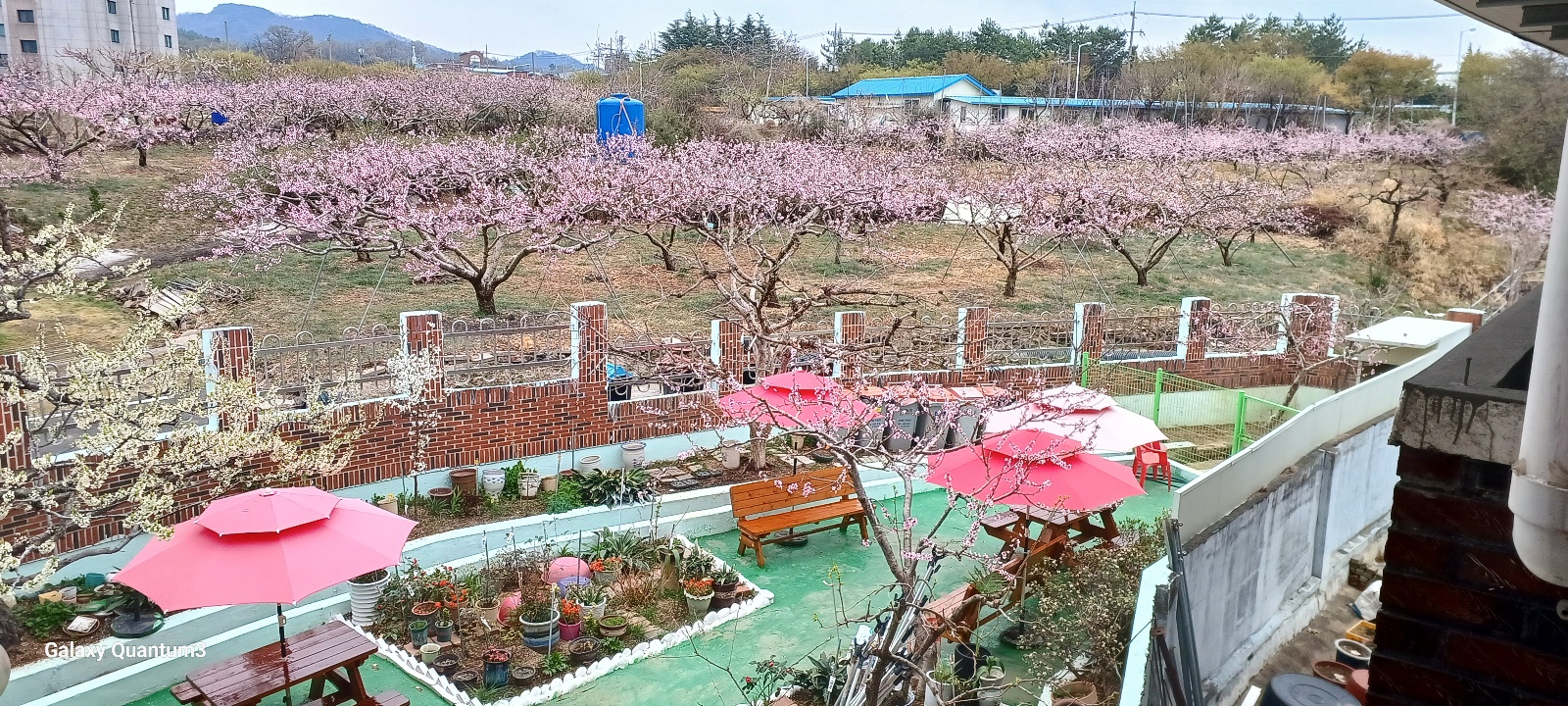 경산실버요양의집공동생활가정 이미지 2