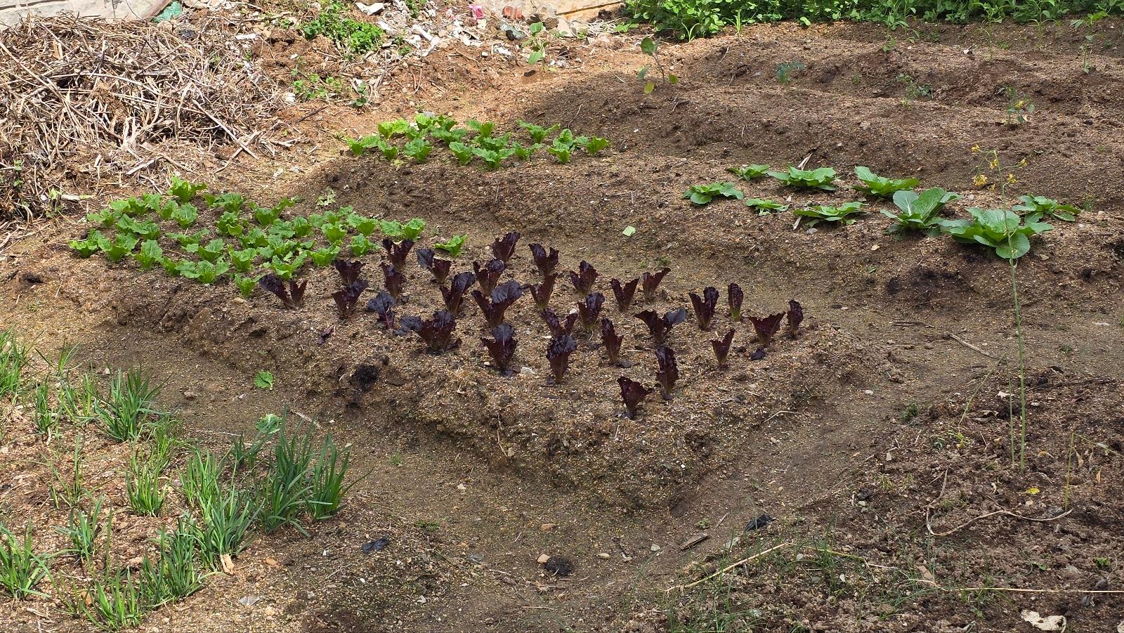 가나안요양원 이미지 2