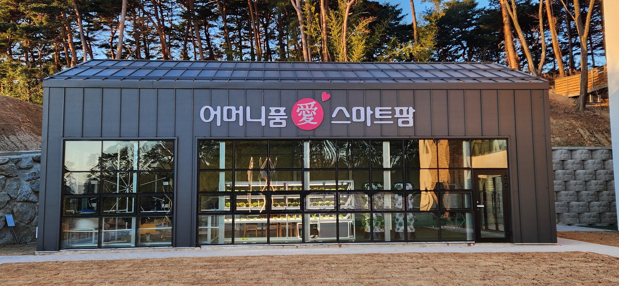 어머니품애 요양원 이미지 6