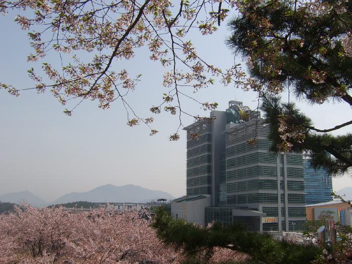 마산대학교노인전문요양원 이미지 10