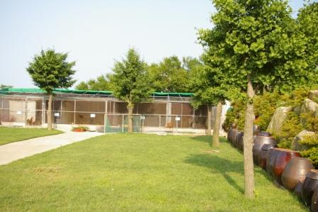 파랑새노인건강센터 이미지 20