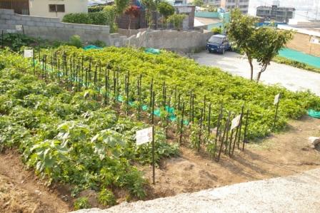 파랑새노인건강센터 이미지 19