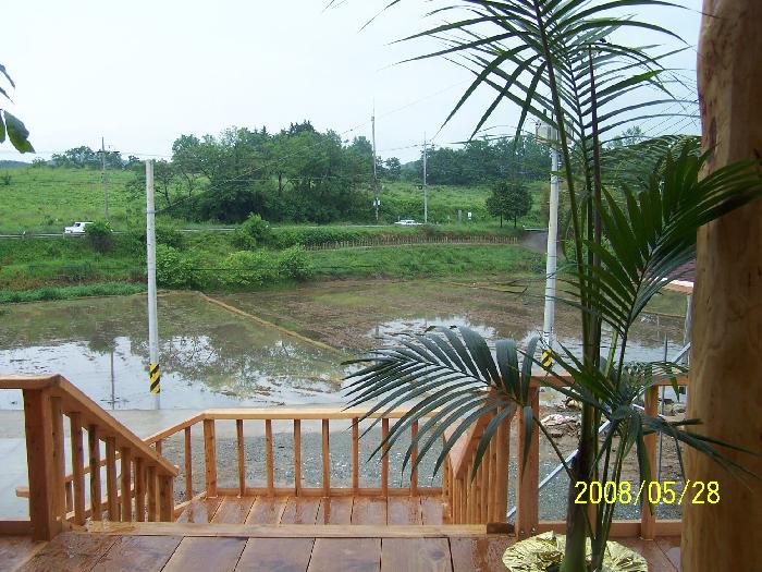 정겨운 뜰안 이미지 18