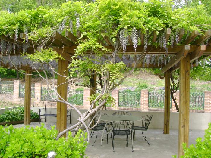 실버릿지판교 이미지 13