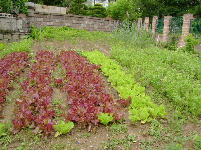 실버릿지판교 이미지 12