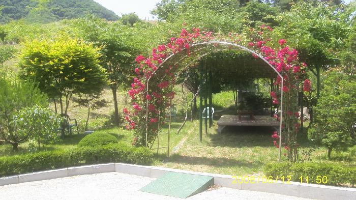 실버랜드 이미지 23