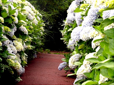 성이시돌요양원 이미지 14