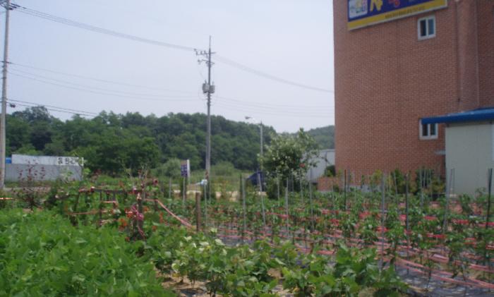 사랑의 집 노인요양원 이미지 4