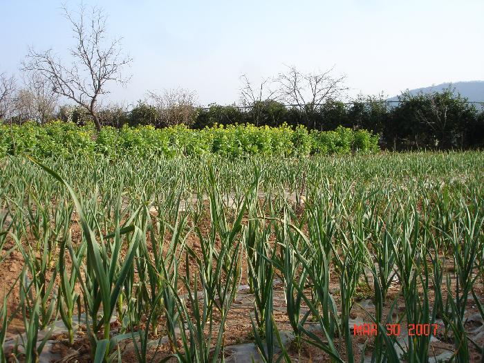 요안나의집 이미지 25