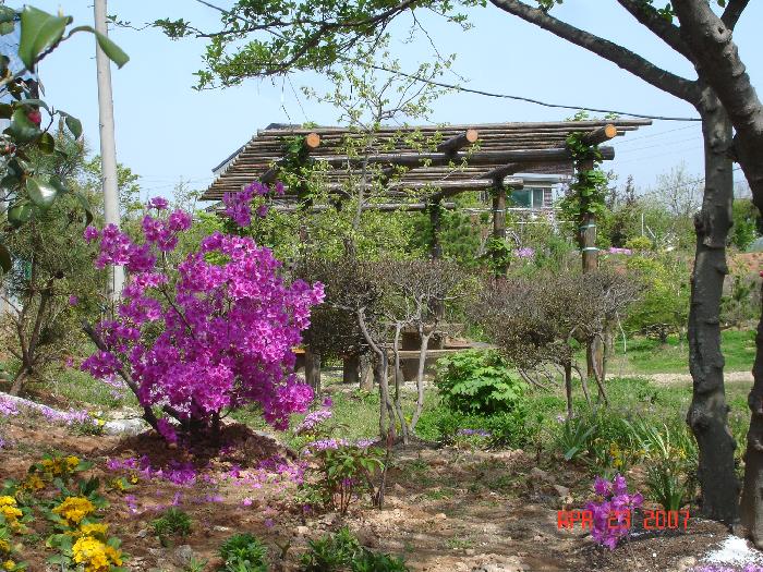 요안나의집 이미지 9