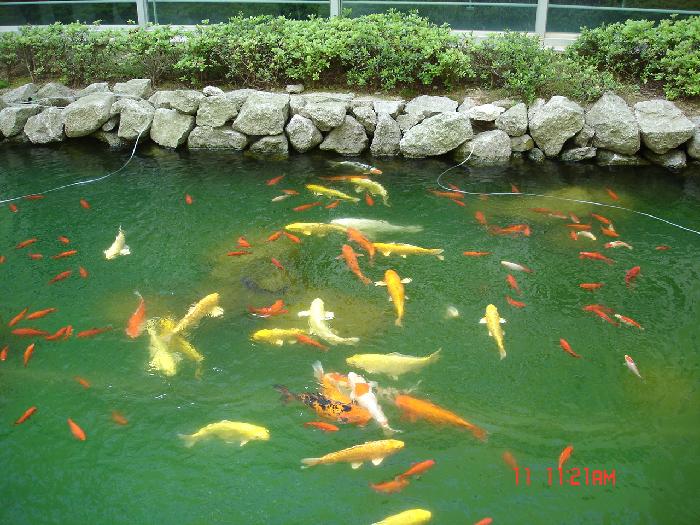 노인요양원 솔향 이미지 15