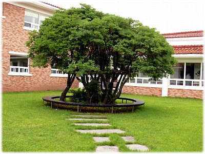 성이시돌요양원 이미지 11