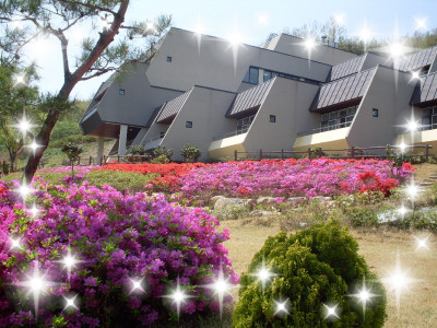 사회복지법인 자혜복지재단 노량실버타운