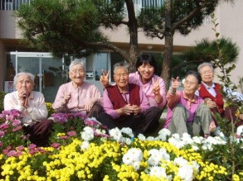 제주태고원 이미지 16