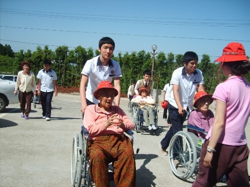 제주태고원 이미지 14