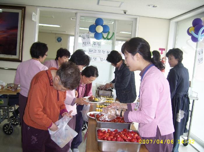 제주태고원 이미지 29