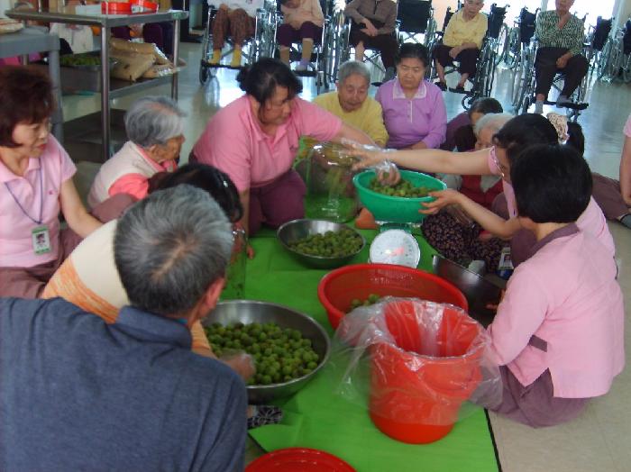 제주태고원 이미지 28