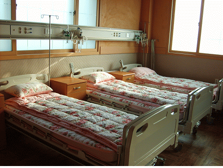 효도의집 이미지 14