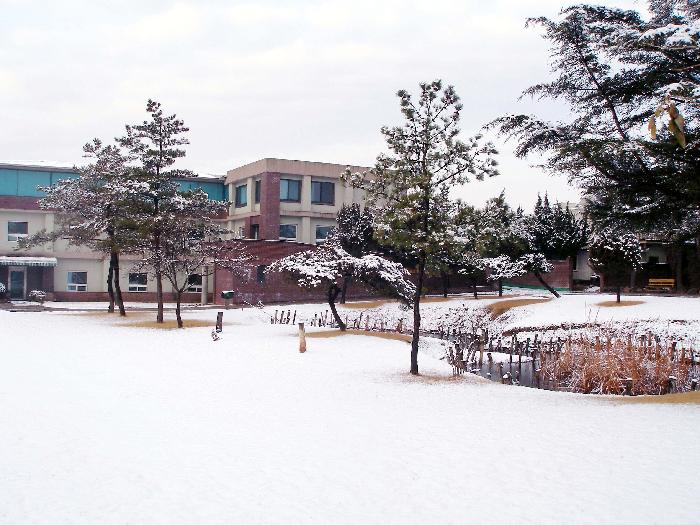 도리원 이미지 12