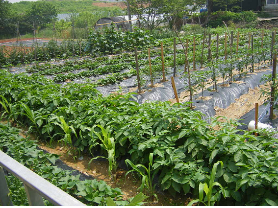 은행재 이미지 6