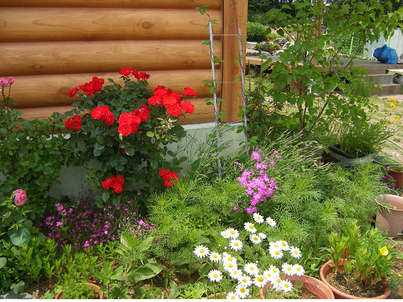 은행재 이미지 5