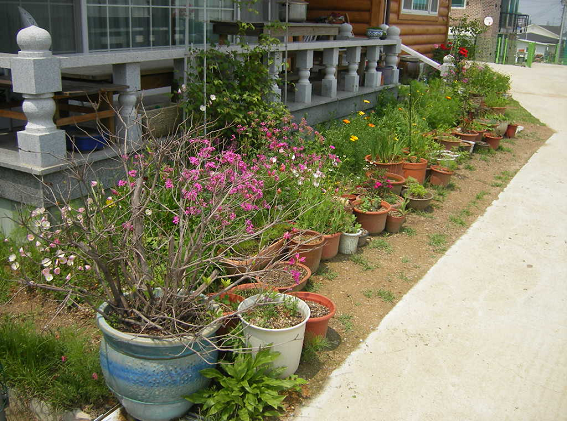 은행재 이미지 4