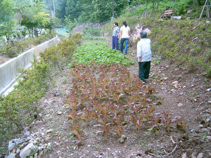 예은노인요양원 이미지 20