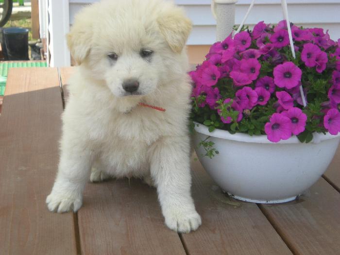 다솔너싱홈 이미지 6