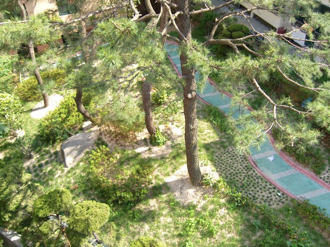 안평노인건강센터 이미지 8