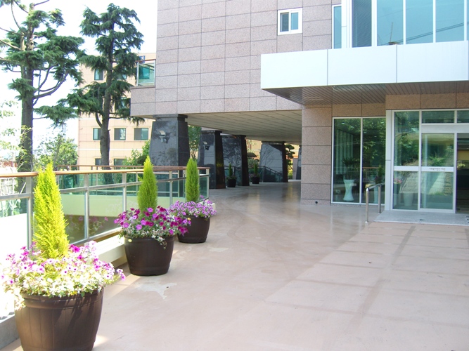 안평노인건강센터 이미지 7