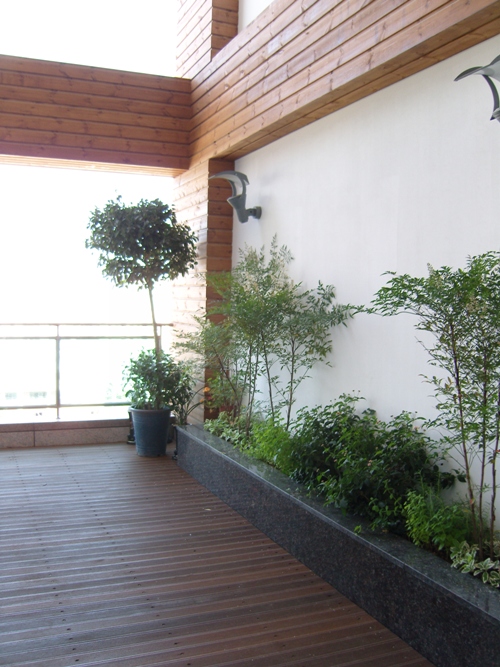 안평노인건강센터 이미지 34